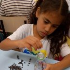 Escola Fundamental